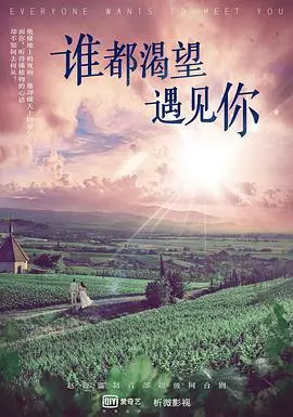 谁都渴望遇见你 海报