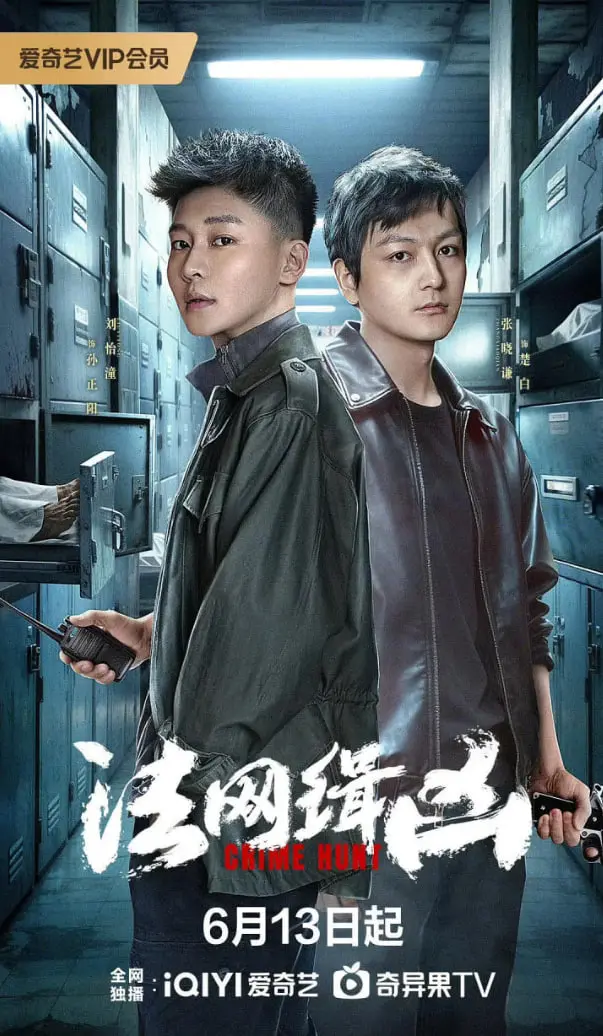 《法网缉凶》：剥开层层迷雾，揭秘真相背后不为人知的治愈之路