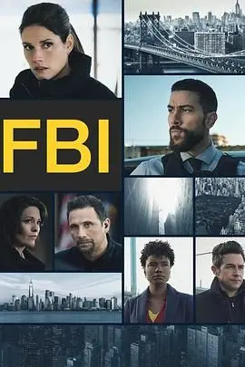 《联邦调查局 第六季》：硬核破案下的温情脉脉，FBI的“经典情感”羁绊再升级